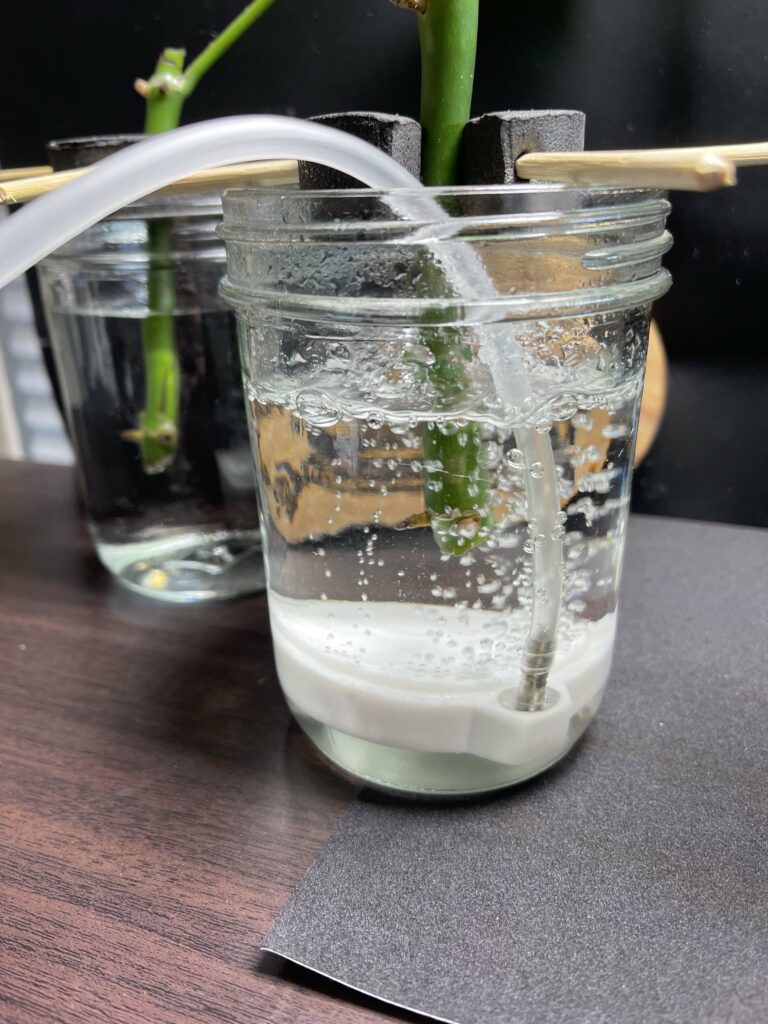 Cuttings with bubbler running