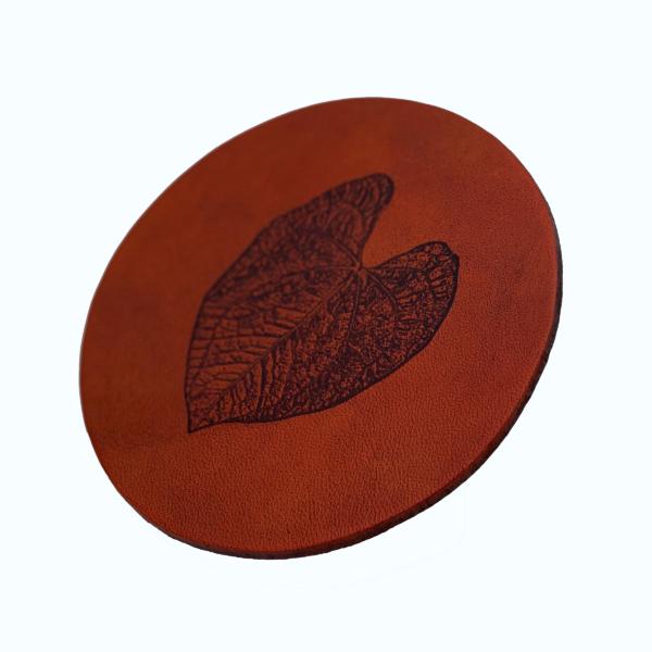 Luxurians A Coaster 2